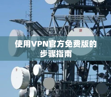 使用VPN官方免费版的步骤指南