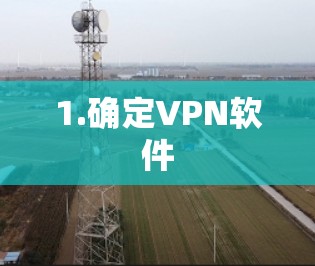 1.确定VPN软件 1.确定VPN软件