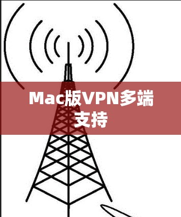 Mac版VPN多端支持