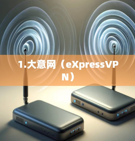 1.大意网（eXpressVPN）