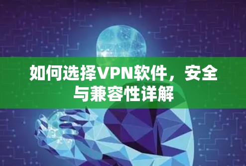如何选择VPN软件，安全与兼容性详解