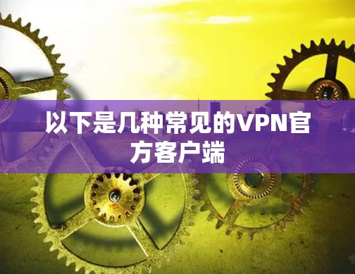 以下是几种常见的VPN官方客户端 以下是几种常见的VPN官方客户端
