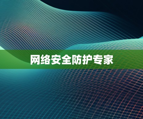 网络安全防护专家