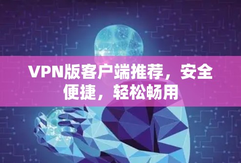 VPN版客户端推荐,安全便捷,轻松畅用