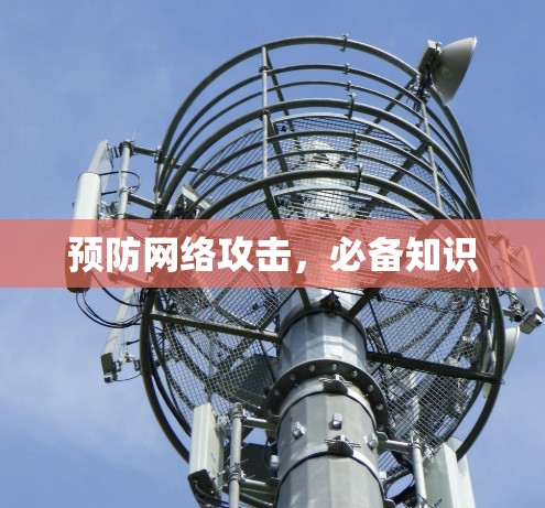 预防网络攻击，必备知识