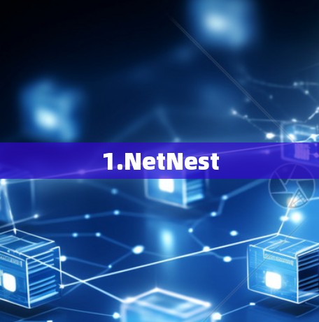 1.NetNest 1.NetNest