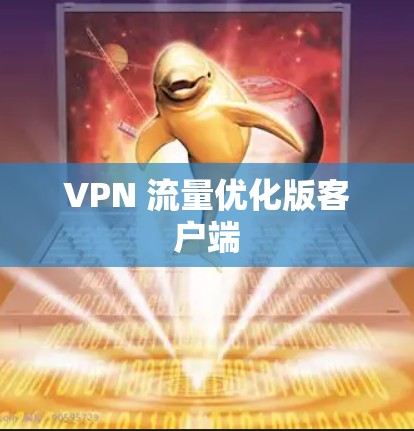 VPN 流量优化版客户端