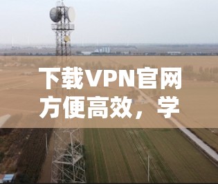下载VPN官网方便高效,学习加速版 下载VPN官网方便高效,学习加速版