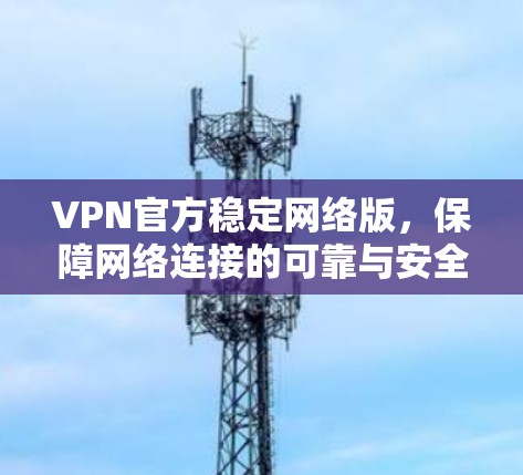 VPN官方稳定网络版，保障网络连接的可靠与安全
