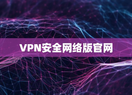 VPN安全网络版官网 VPN安全网络版官网
