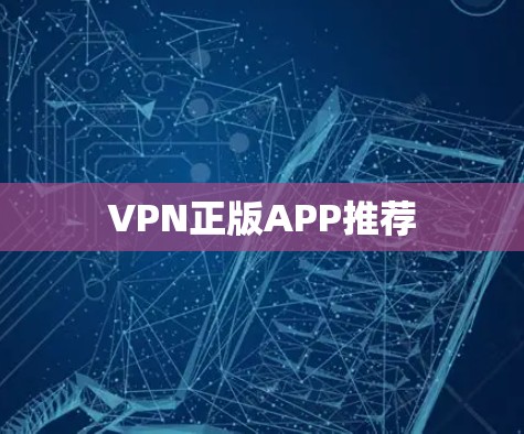 VPN正版APP推荐