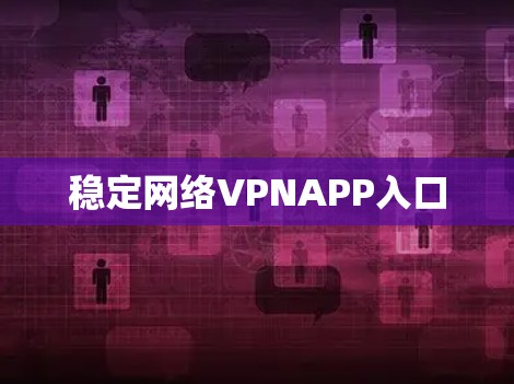 稳定网络VPNAPP入口 稳定网络VPNAPP入口